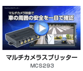 MCS293