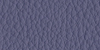 フレンチブルー