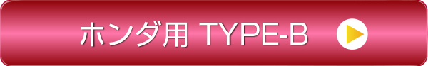 �z���_�p TYPE-A