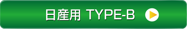 �j�b�T���p TYPE-B